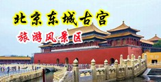 舔女人黑逼视频中国北京-东城古宫旅游风景区
